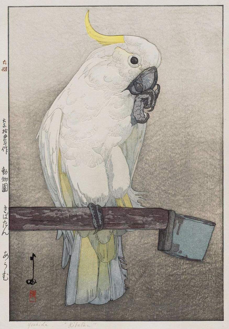 Hiroshi Yoshida “Kibatan Parrot” 1926 woodblock print
