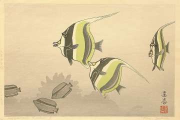 Toshi Yoshida “Hawaiian Fishes, B” 1955 thumbnail