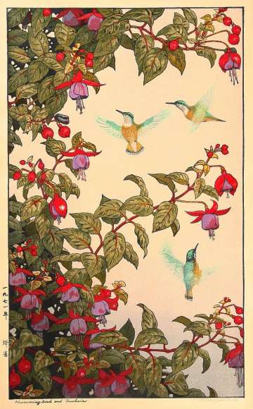 Toshi Yoshida “Humming-bird and Fuchsia” 1971 thumbnail