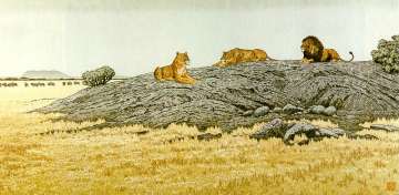 Toshi Yoshida “Peaceful Wild Animals” 1974 thumbnail